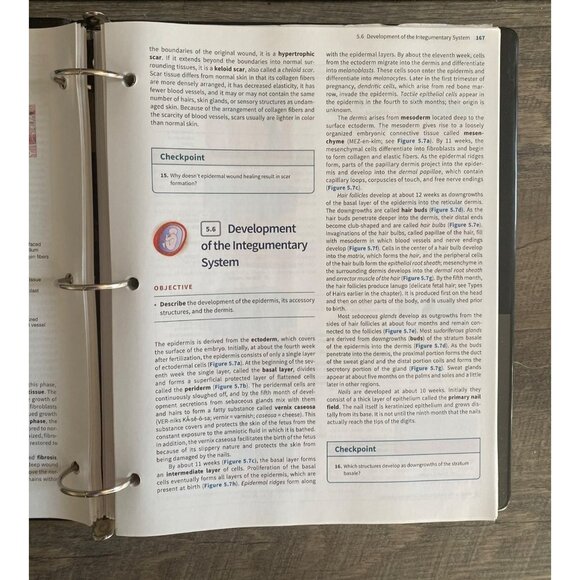 Anatomy & Physiology Vol 1 Gerard J Tortora, Bryan H Derrickson 2021 - Picture 2 of 5